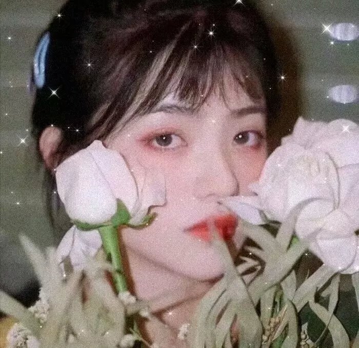 恍惚的土地